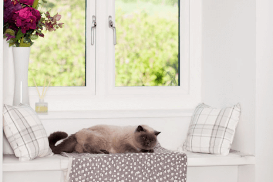 white uPVC casement window in front of a chair ledge interior with a cat